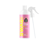 SWAG LADY APC RTU 500ML – Uniwersalny Środek Czyszczący o Zbalansowanym pH