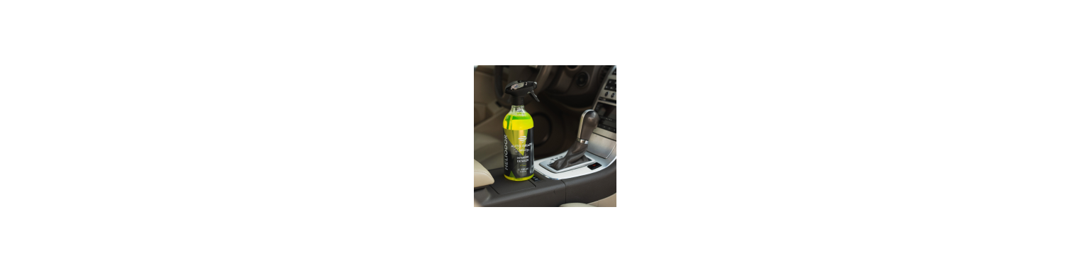 Pielęgnacja wnętrza